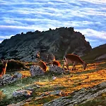 فندق Hospederia Del Santuario De La Pena De Francia