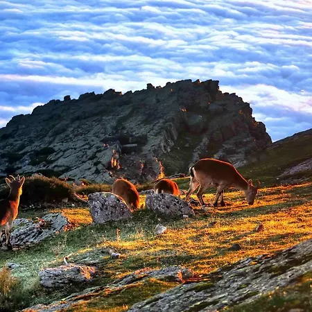 ホテル Hospederia Del Santuario De La Pena De Francia