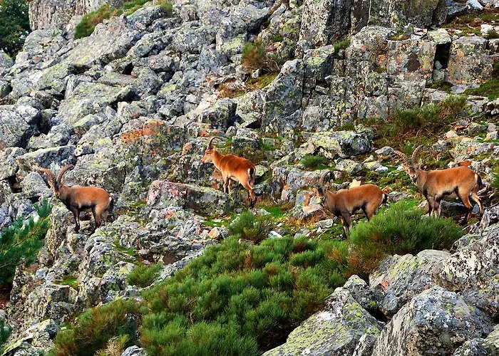 Hotel Hospederia Del Santuario De La Pena De Francia 3*