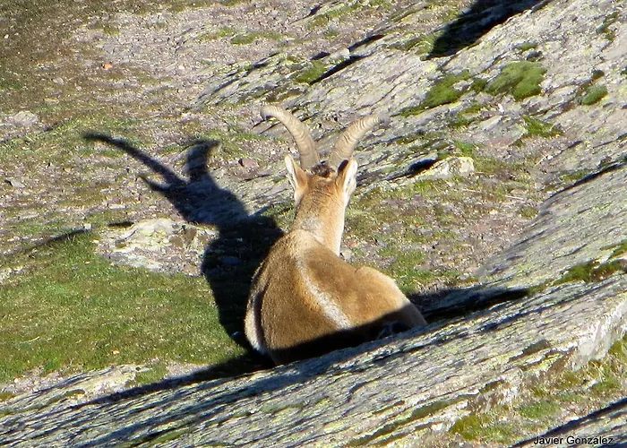 Ξενοδοχείο Hospederia Del Santuario De La Pena De Francia El Cabaco